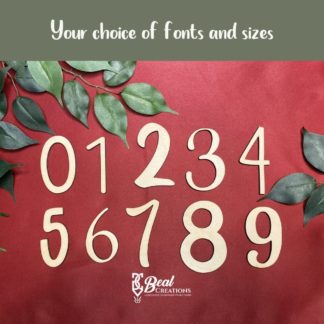 Unfinished Wooden Numbers