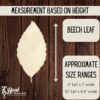 Wooden Leaf Cutout Blanks, Wooden Leaves for DIY Crafts, Fall Leaves, Set of Leaves, Beech Maple Oak Birch Leaf, Wood 2