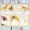 Sorting Board 1