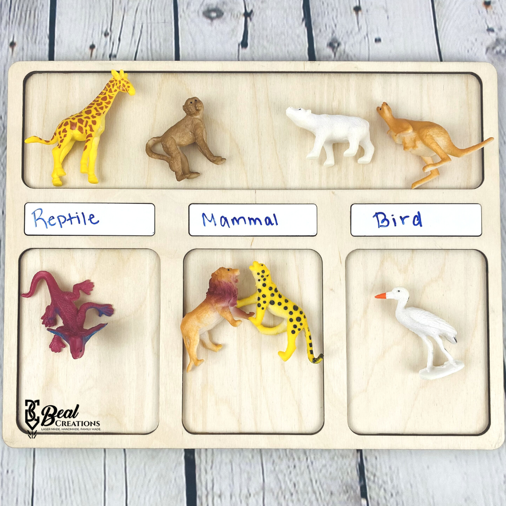 Sorting Board 1