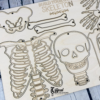 Build Your Own Skeleton 2