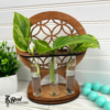 Plant Propagation Station Indoor Plant Lover Gift 4