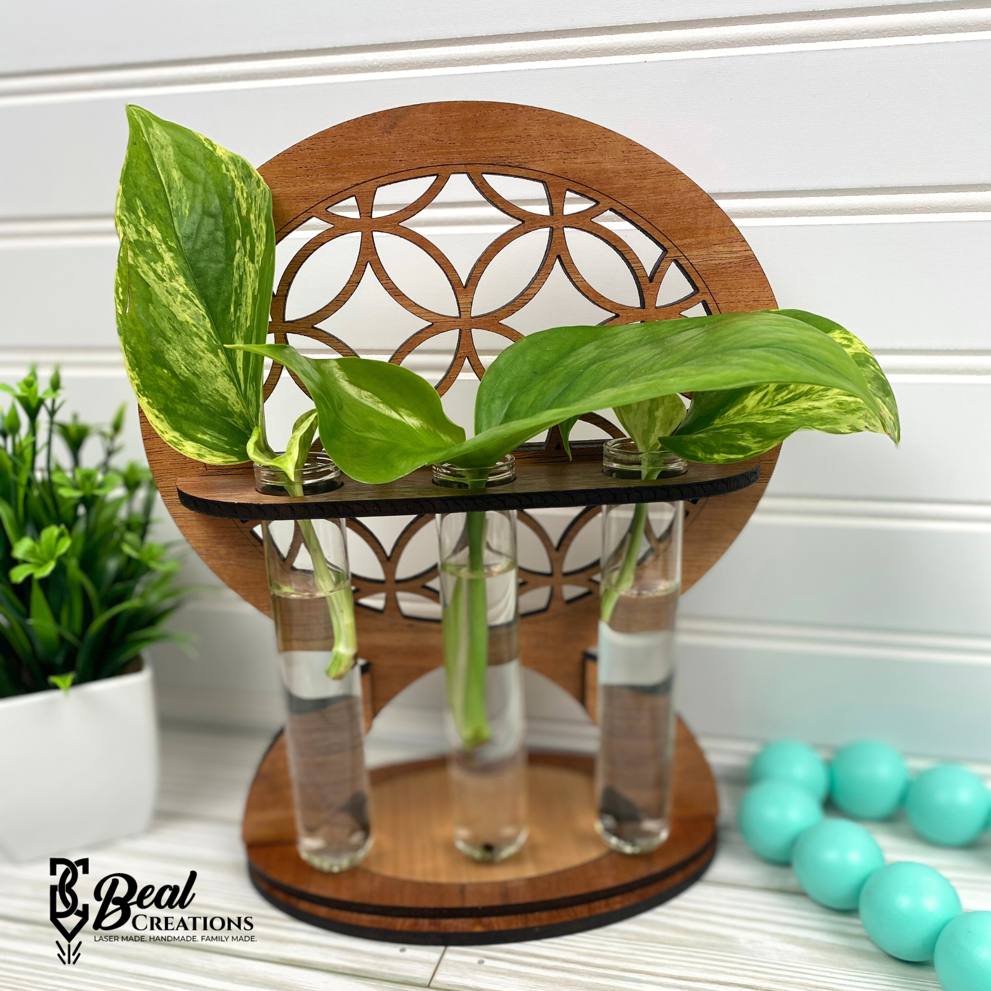 Plant Propagation Station Indoor Plant Lover Gift 4